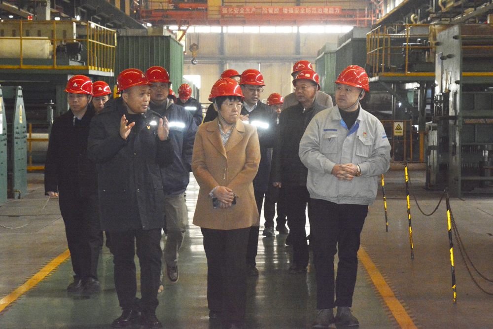 集團(tuán)公司領(lǐng)導(dǎo)蒞臨開封鐵塔橡膠 調(diào)研“一季度”開門紅和安全包保工作